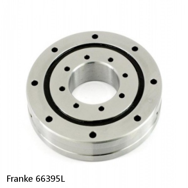 66395L Franke Slewing Ring Bearings