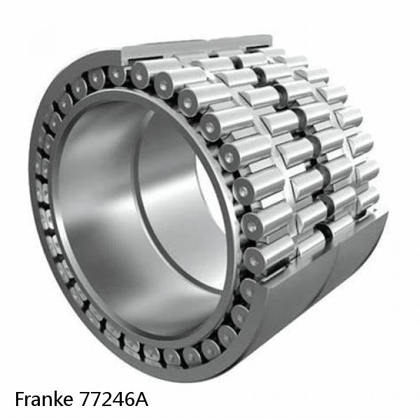 77246A Franke Slewing Ring Bearings