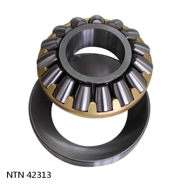 42313 NTN Cylindrical Roller Bearing