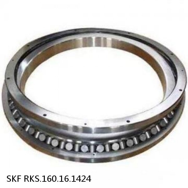 RKS.160.16.1424 SKF Slewing Ring Bearings