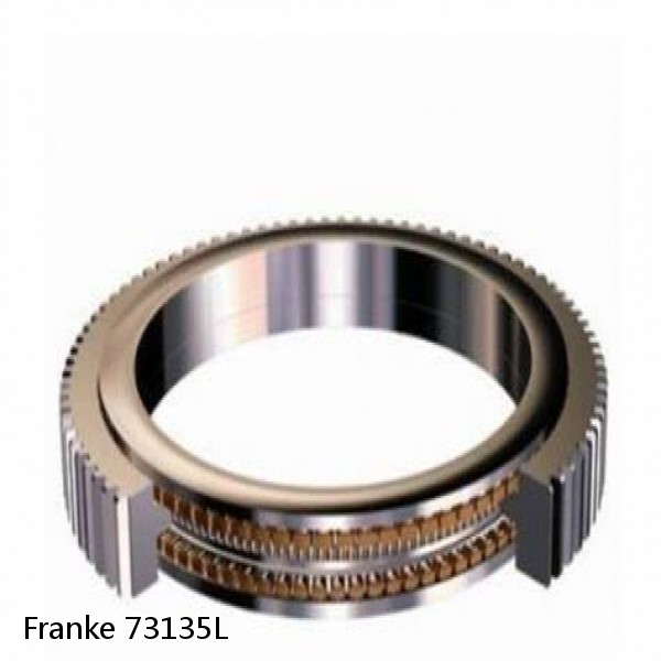 73135L Franke Slewing Ring Bearings