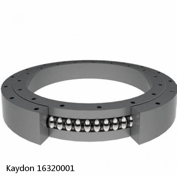 16320001 Kaydon Slewing Ring Bearings