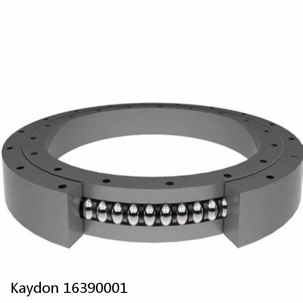 16390001 Kaydon Slewing Ring Bearings