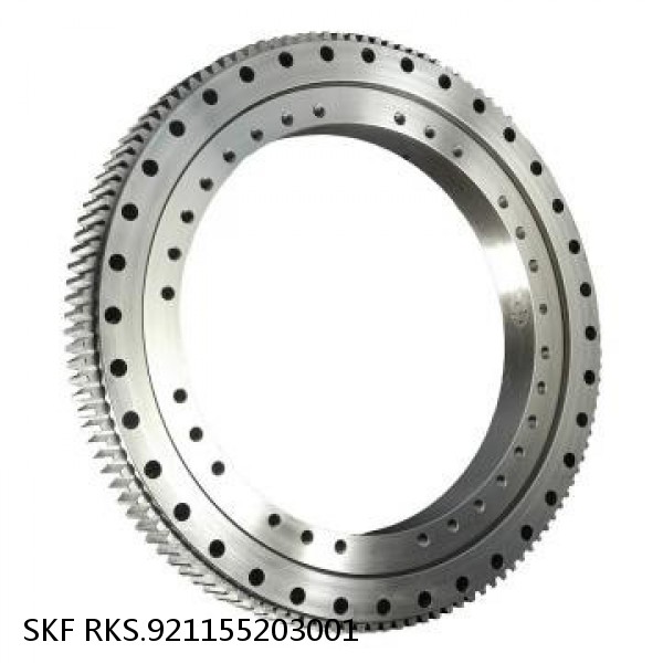 RKS.921155203001 SKF Slewing Ring Bearings