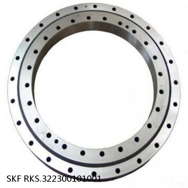 RKS.322300101001 SKF Slewing Ring Bearings