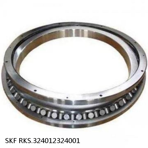 RKS.324012324001 SKF Slewing Ring Bearings