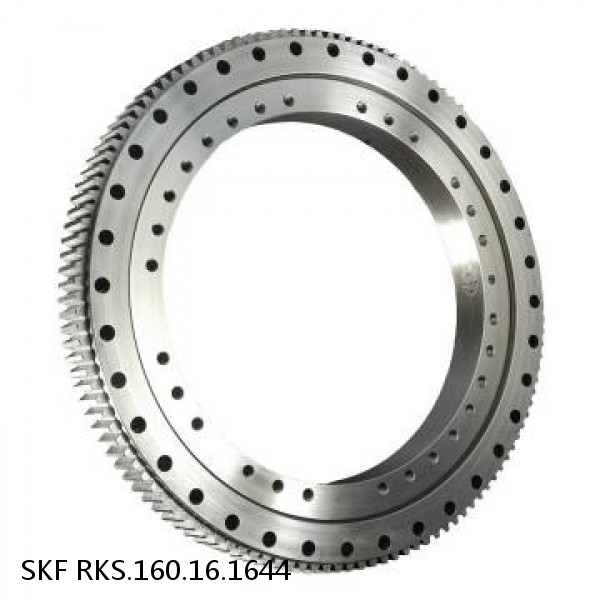 RKS.160.16.1644 SKF Slewing Ring Bearings