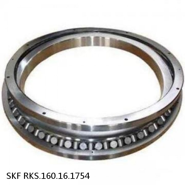 RKS.160.16.1754 SKF Slewing Ring Bearings