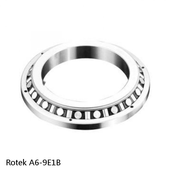 A6-9E1B Rotek Slewing Ring Bearings