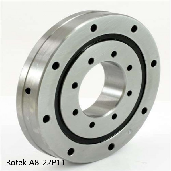 A8-22P11 Rotek Slewing Ring Bearings