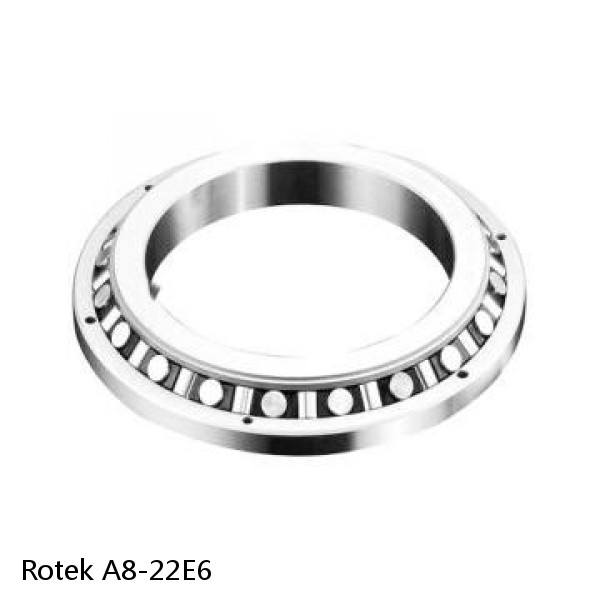 A8-22E6 Rotek Slewing Ring Bearings