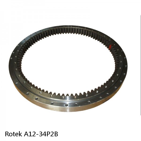 A12-34P2B Rotek Slewing Ring Bearings