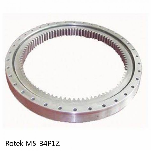 M5-34P1Z Rotek Slewing Ring Bearings