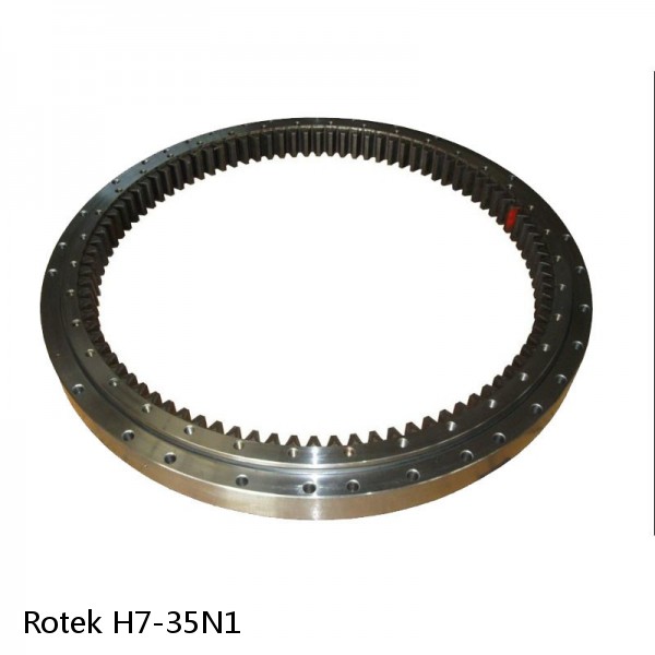 H7-35N1 Rotek Slewing Ring Bearings