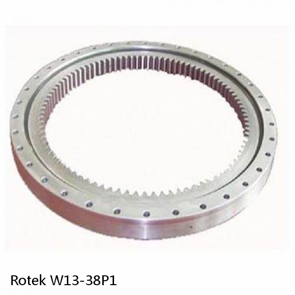 W13-38P1 Rotek Slewing Ring Bearings