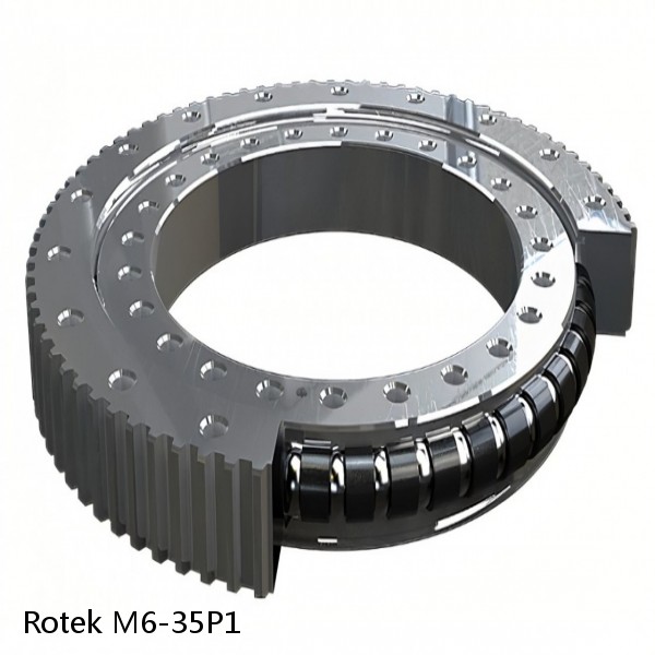 M6-35P1 Rotek Slewing Ring Bearings