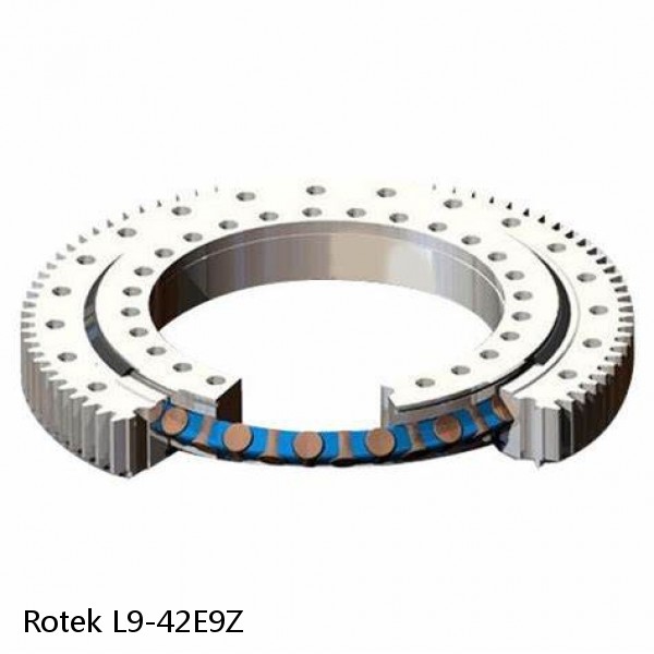 L9-42E9Z Rotek Slewing Ring Bearings