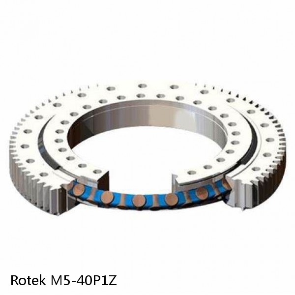 M5-40P1Z Rotek Slewing Ring Bearings