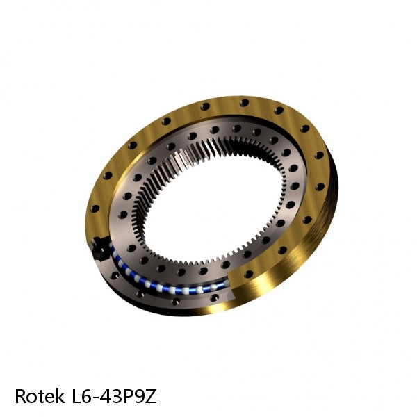 L6-43P9Z Rotek Slewing Ring Bearings