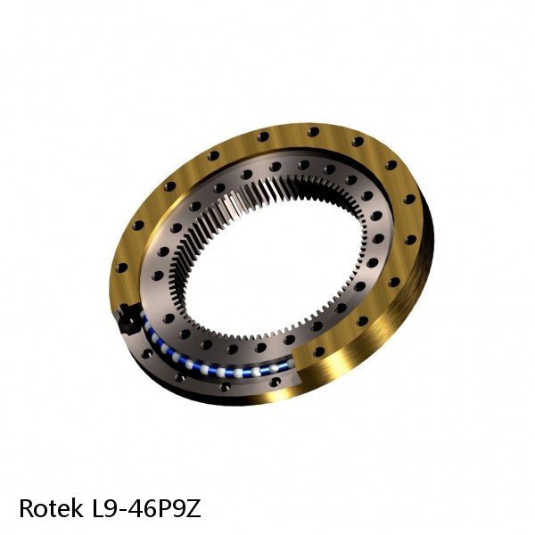 L9-46P9Z Rotek Slewing Ring Bearings