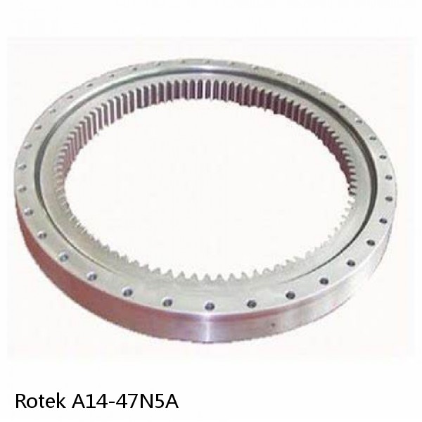 A14-47N5A Rotek Slewing Ring Bearings