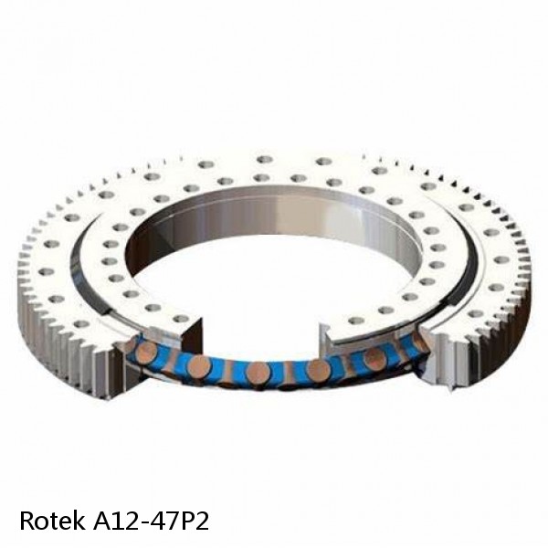 A12-47P2 Rotek Slewing Ring Bearings