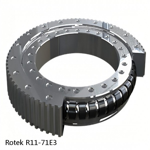 R11-71E3 Rotek Slewing Ring Bearings