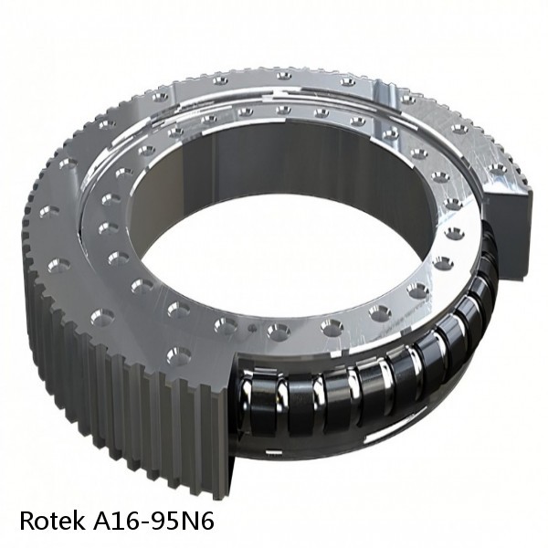 A16-95N6 Rotek Slewing Ring Bearings