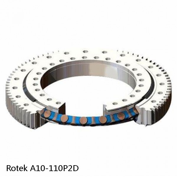 A10-110P2D Rotek Slewing Ring Bearings