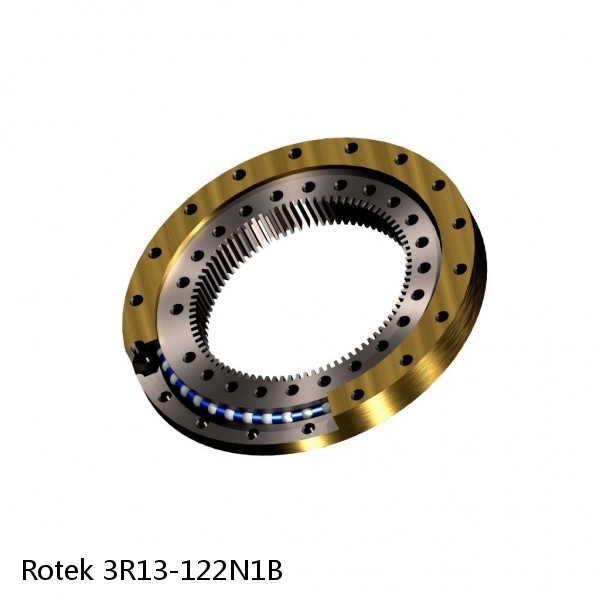 3R13-122N1B Rotek Slewing Ring Bearings