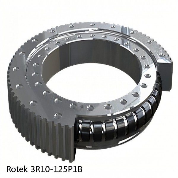 3R10-125P1B Rotek Slewing Ring Bearings