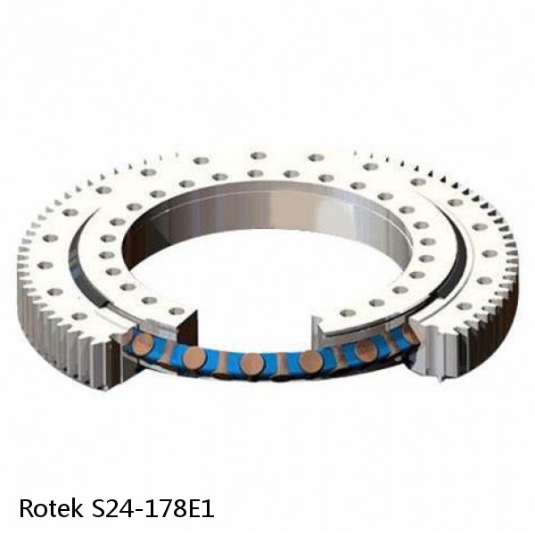 S24-178E1 Rotek Slewing Ring Bearings