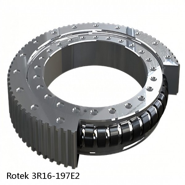 3R16-197E2 Rotek Slewing Ring Bearings