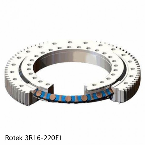 3R16-220E1 Rotek Slewing Ring Bearings