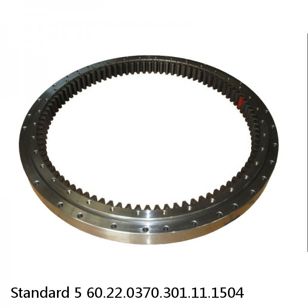 60.22.0370.301.11.1504 Standard 5 Slewing Ring Bearings