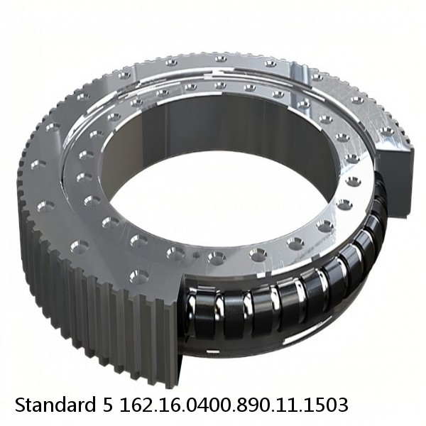 162.16.0400.890.11.1503 Standard 5 Slewing Ring Bearings