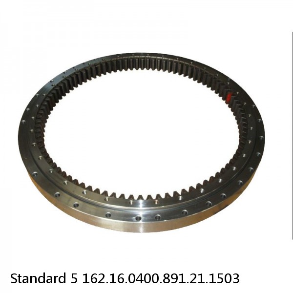 162.16.0400.891.21.1503 Standard 5 Slewing Ring Bearings