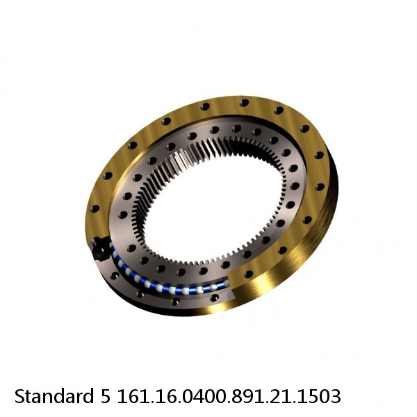 161.16.0400.891.21.1503 Standard 5 Slewing Ring Bearings