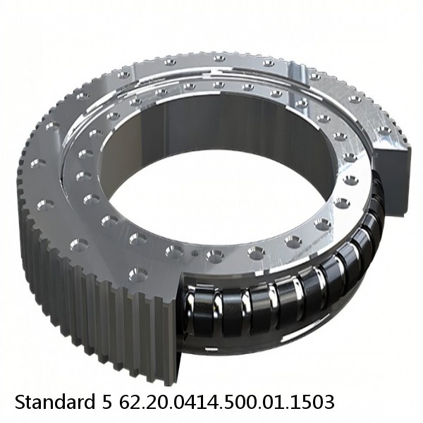 62.20.0414.500.01.1503 Standard 5 Slewing Ring Bearings