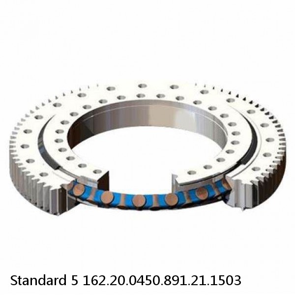 162.20.0450.891.21.1503 Standard 5 Slewing Ring Bearings