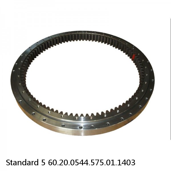 60.20.0544.575.01.1403 Standard 5 Slewing Ring Bearings