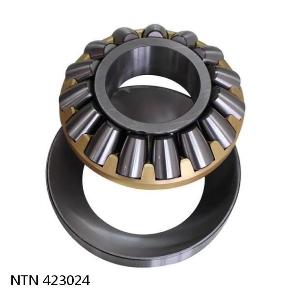 423024 NTN Cylindrical Roller Bearing