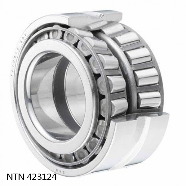 423124 NTN Cylindrical Roller Bearing